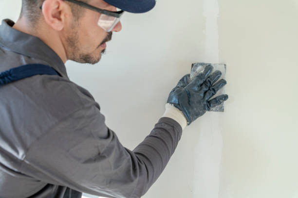 Best Drywall Removal and Disposal  in Sussex, NJ